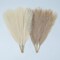 6 Stems Faux Pampas Grass – 17” Short Artificial Pampas for Boho Home, Living Room, Wedding, Christmas & Aesthetic Room Décor